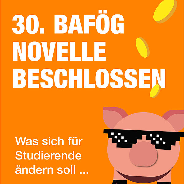 Grafik mit Aufschrift: 30. BAföG-Novelle beschlossen. Was sich für Studierende ändern soll …